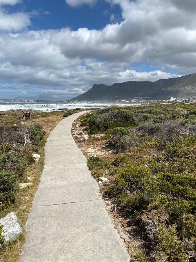 Shore'S Edge Luxury Oceanfront Home Hermanus Zewnętrze zdjęcie
